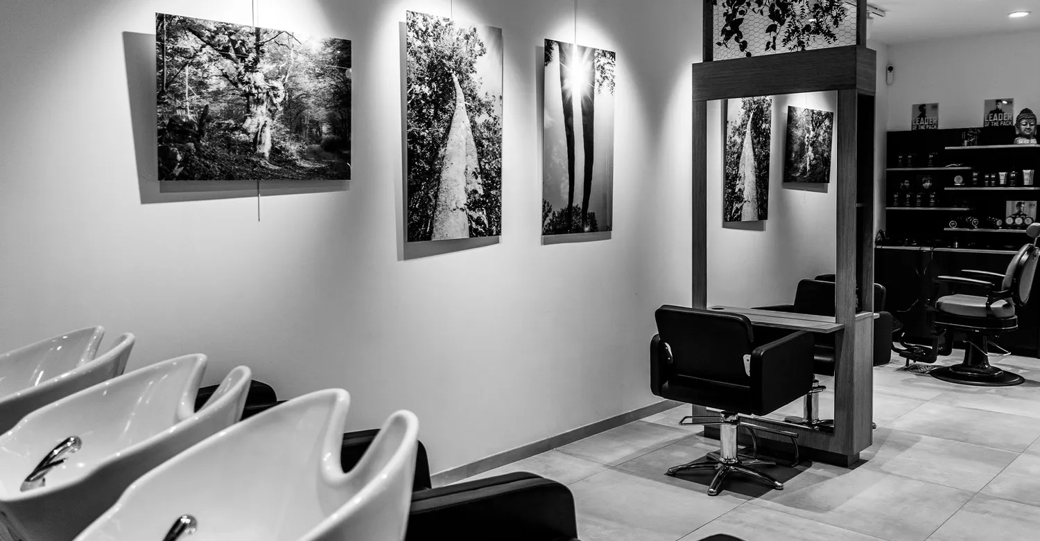 balayage bruz